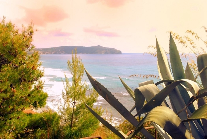 zobacz camping - zdjęcie 6