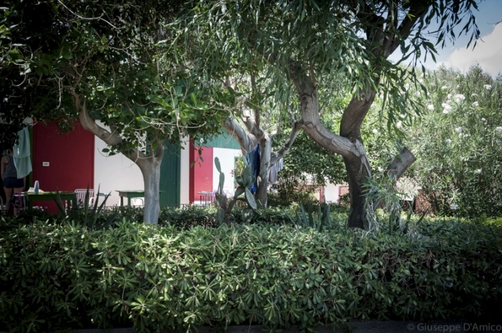 zobacz camping - zdjęcie 7