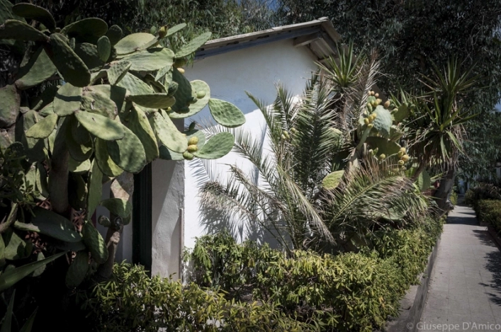 zobacz camping - zdjęcie 5