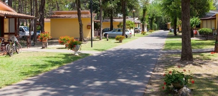 zobacz camping - zdjęcie 14