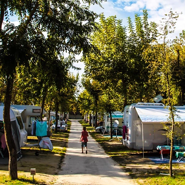 zobacz camping - zdjęcie 12