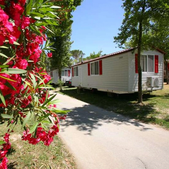 zobacz camping - zdjęcie 11