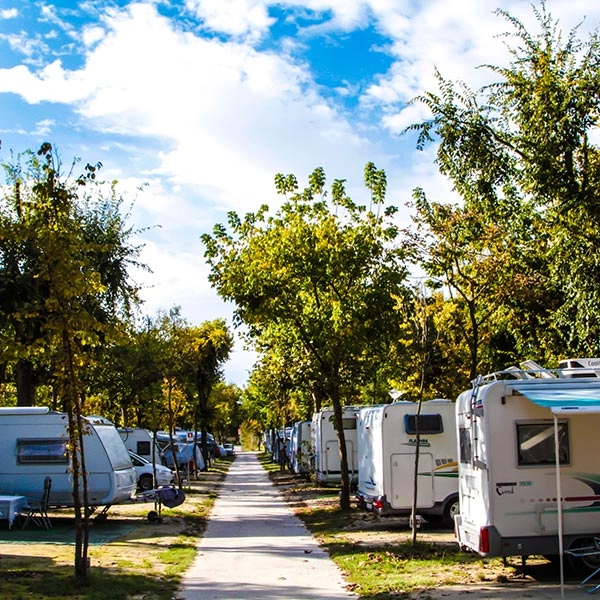 Villaggio Turistico San Francesco - zdjęcie 3