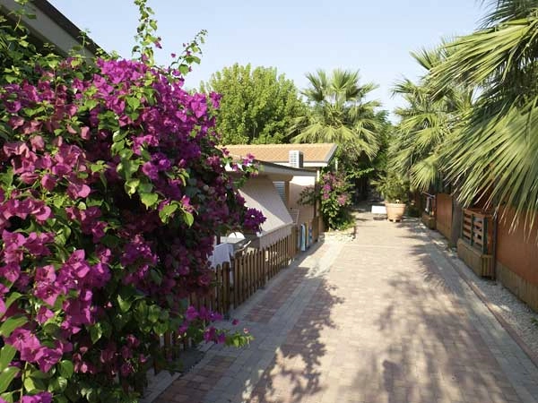 zobacz camping - zdjęcie 11