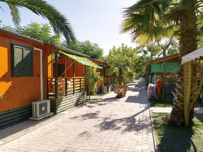 zobacz camping - zdjęcie 9