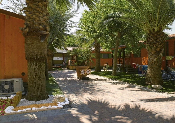 zobacz camping - zdjęcie 8