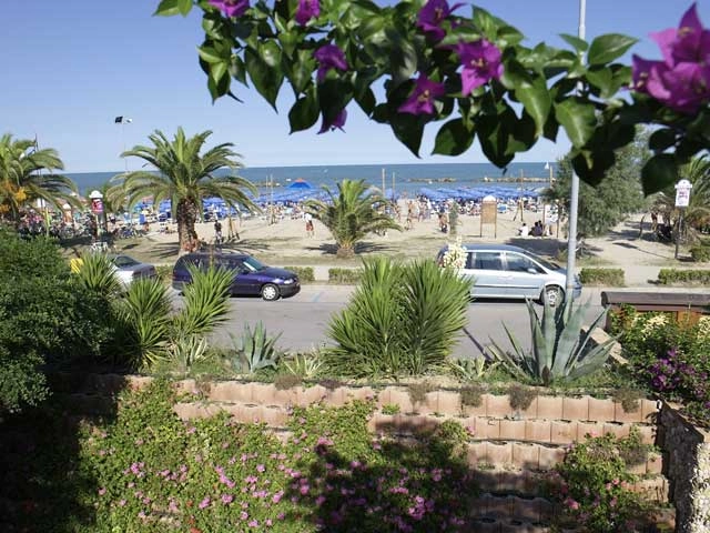 zobacz camping - zdjęcie 6