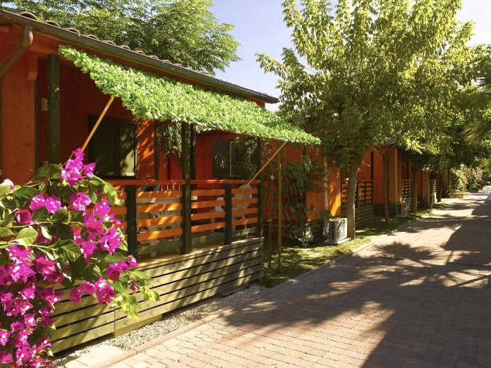 zobacz camping - zdjęcie 3