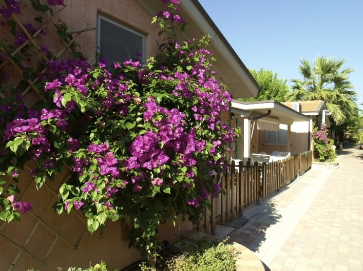 Villagio Camping Duca Amedeo - zdjęcie 1