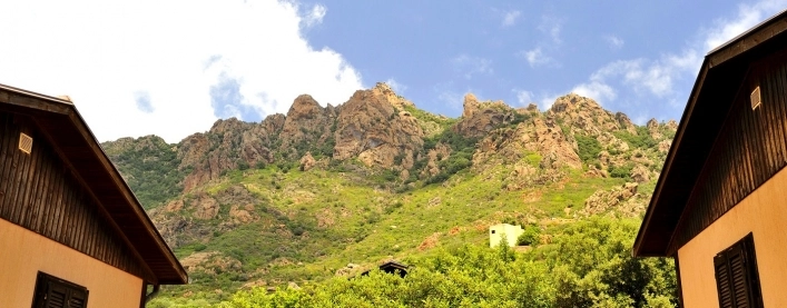 zobacz camping - zdjęcie 20