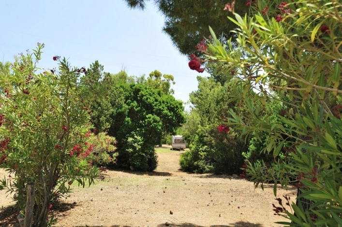 zobacz camping - zdjęcie 19