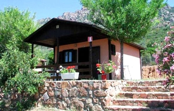 zobacz camping - zdjęcie 7