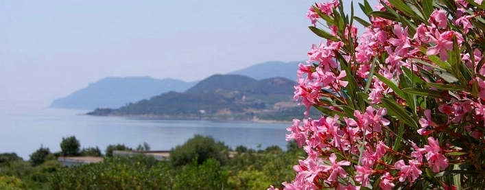 zobacz camping - zdjęcie 3