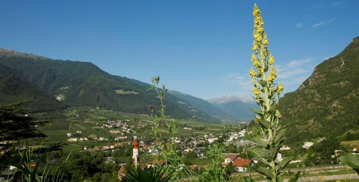 zobacz camping - zdjęcie 12