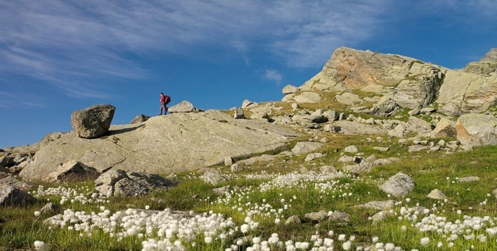 zobacz camping - zdjęcie 6