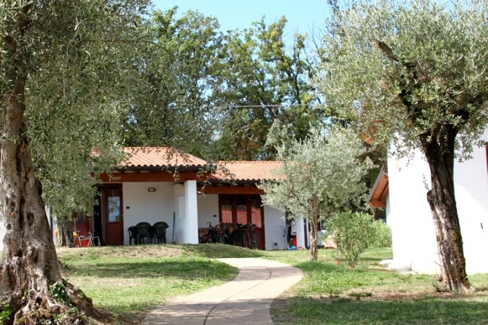 zobacz camping - zdjęcie 23