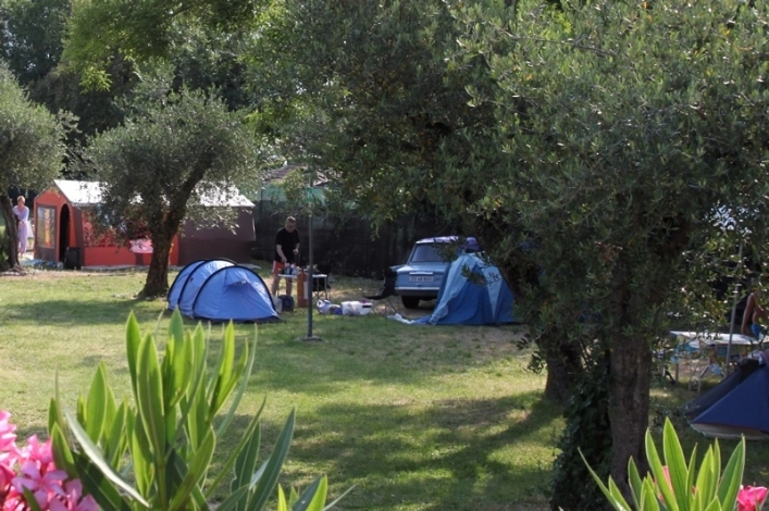 zobacz camping - zdjęcie 21