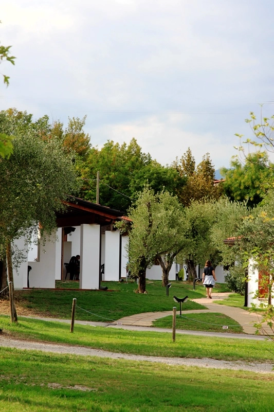 zobacz camping - zdjęcie 11