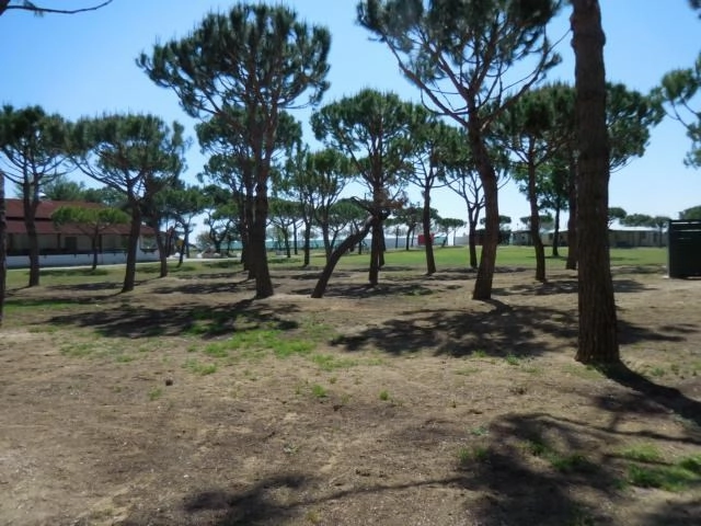 zobacz camping - zdjęcie 13