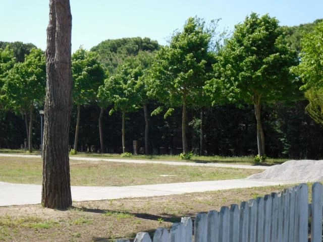 zobacz camping - zdjęcie 11