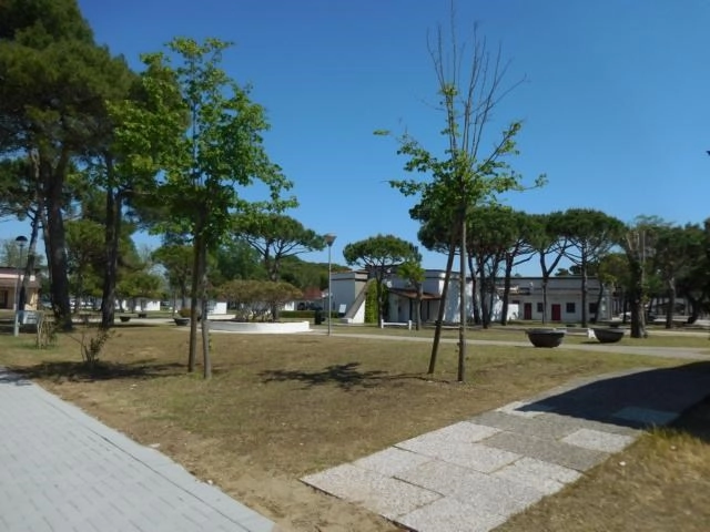 zobacz camping - zdjęcie 9