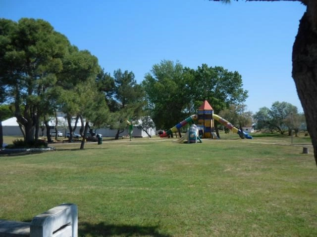 zobacz camping - zdjęcie 8