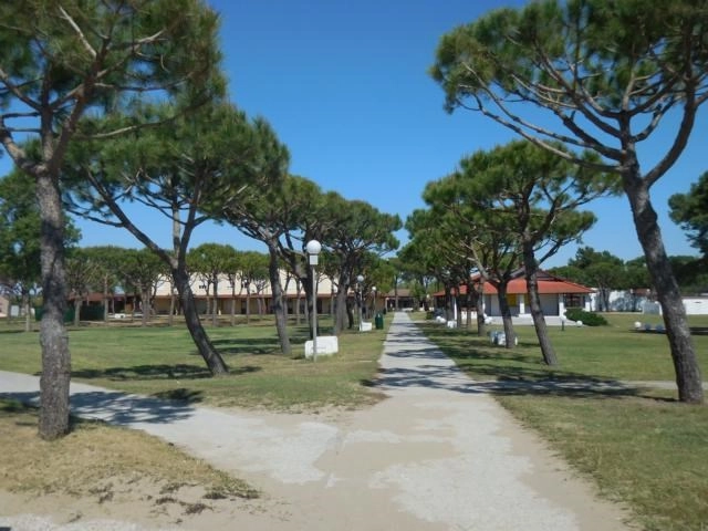 zobacz camping - zdjęcie 7