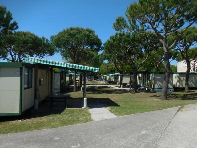 zobacz camping - zdjęcie 4