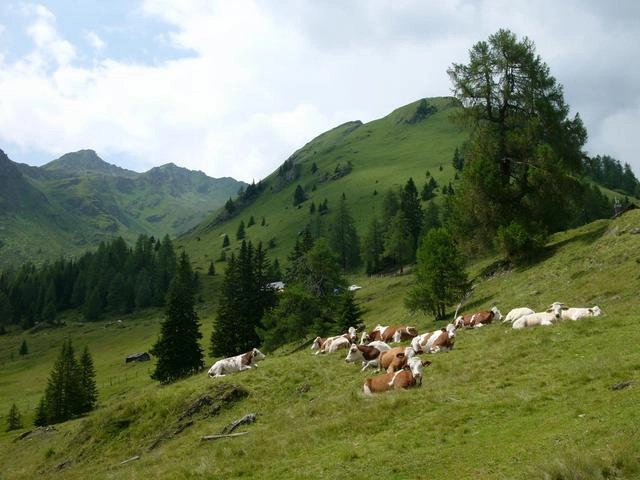 zobacz camping - zdjęcie 23