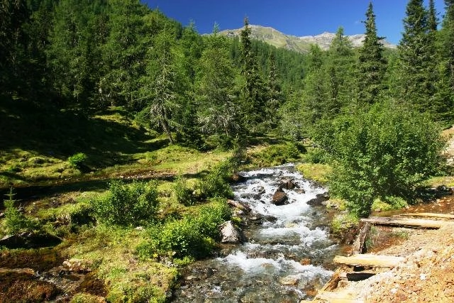 zobacz camping - zdjęcie 18