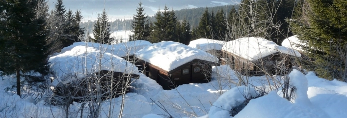 zobacz camping - zdjęcie 10