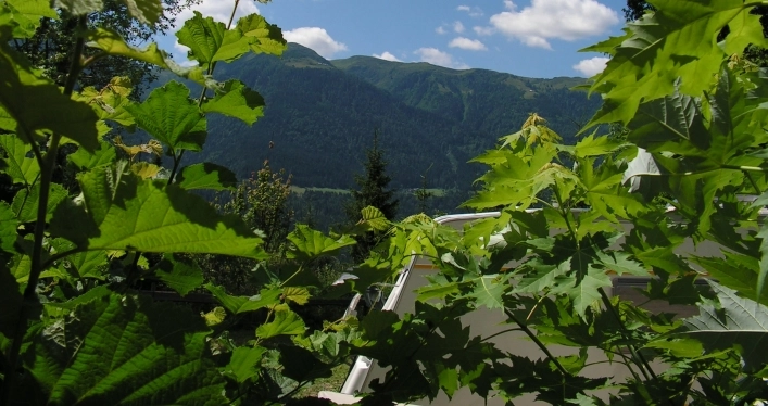 Alpenferienpark Reisach - zdjęcie 3