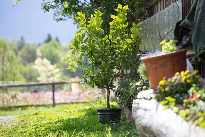 zobacz camping - zdjęcie 16