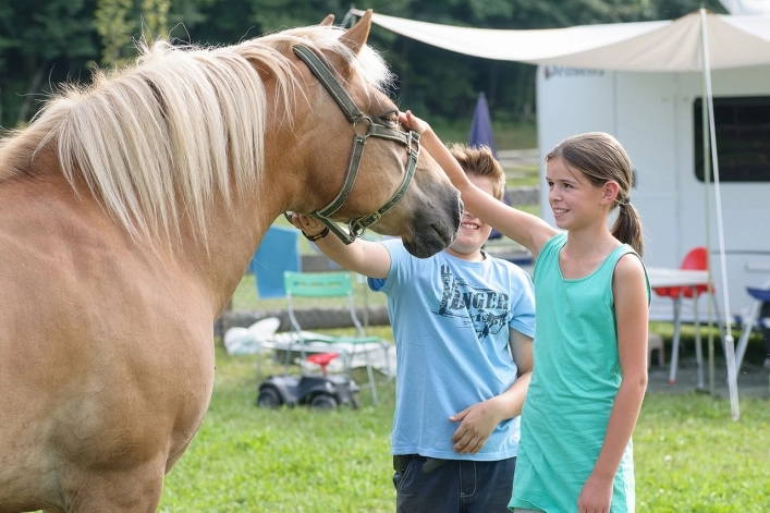 zobacz camping - zdjęcie 9