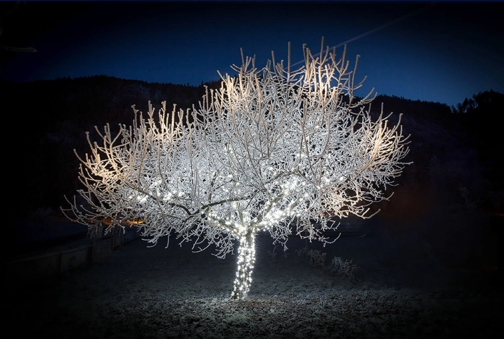 Bauernhofcamping Prefelnig - zdjęcie 2