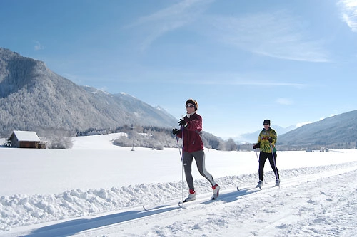 zobacz camping - zdjęcie 6