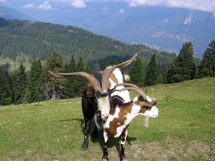 zobacz camping - zdjęcie 25