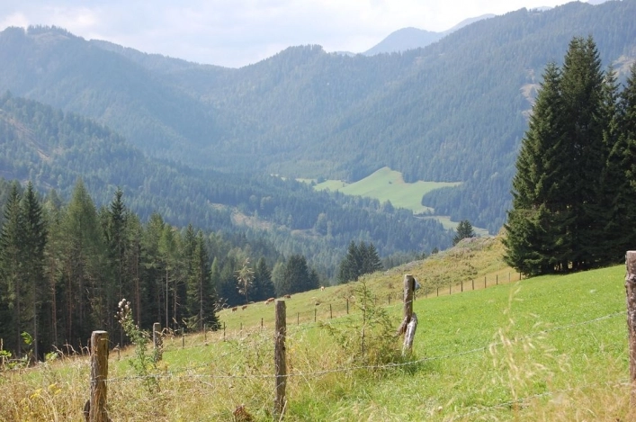 zobacz camping - zdjęcie 7