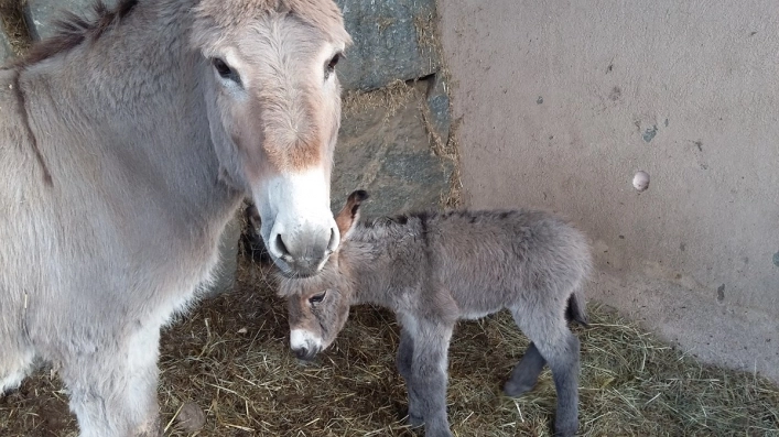 zobacz camping - zdjęcie 13