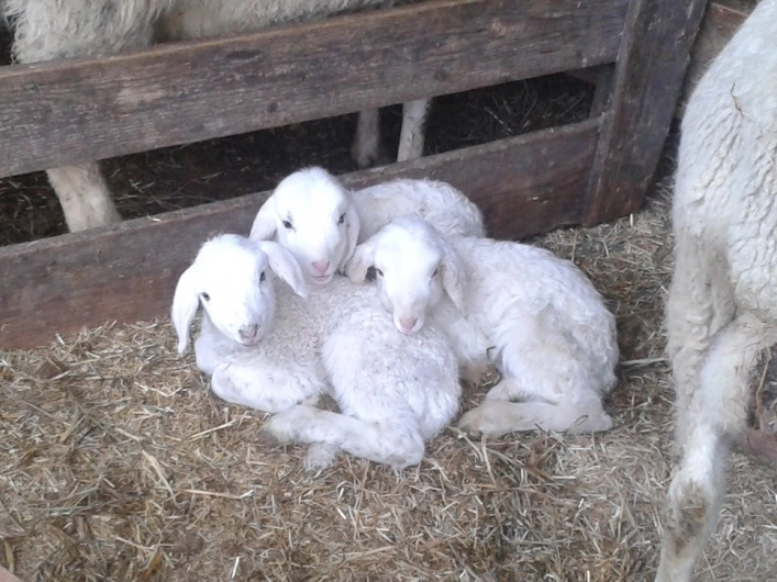 zobacz camping - zdjęcie 9