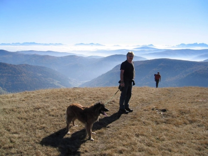 zobacz camping - zdjęcie 21