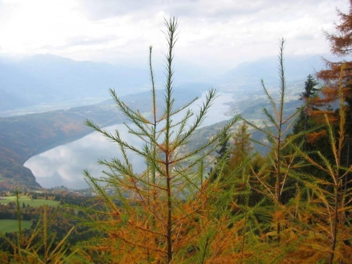 zobacz camping - zdjęcie 15