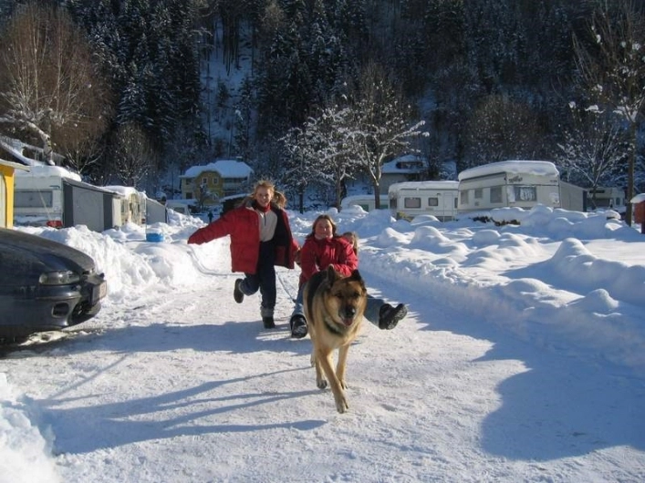 zobacz camping - zdjęcie 6