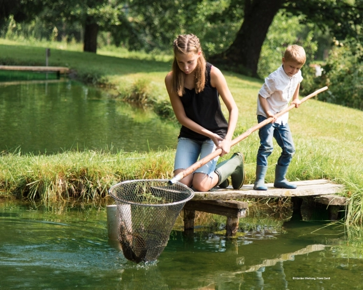 zobacz camping - zdjęcie 26