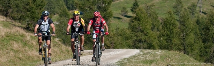 zobacz camping - zdjęcie 12