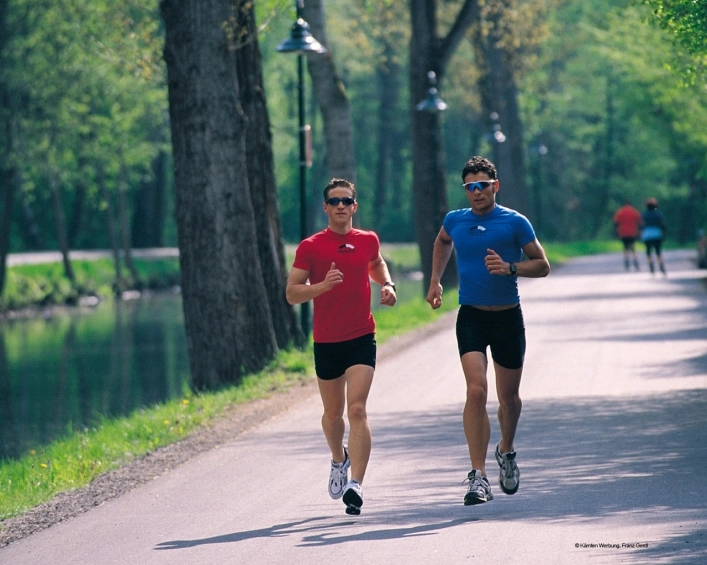 zobacz camping - zdjęcie 9