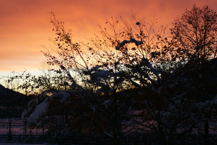 zobacz camping - zdjęcie 26