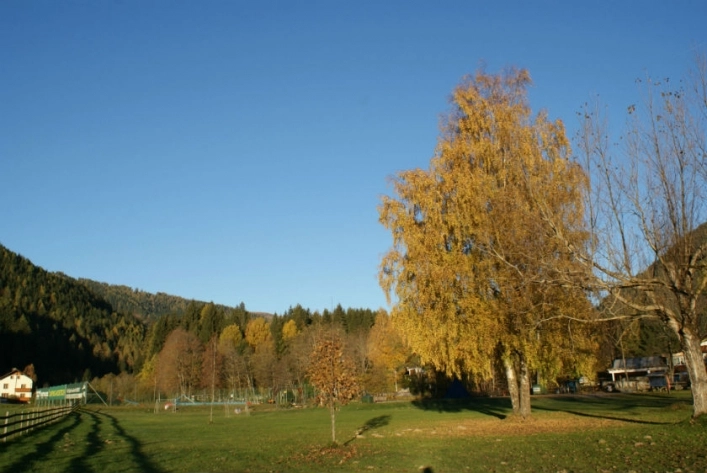 zobacz camping - zdjęcie 16