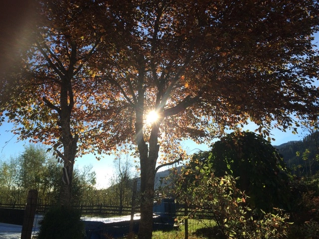 zobacz camping - zdjęcie 12