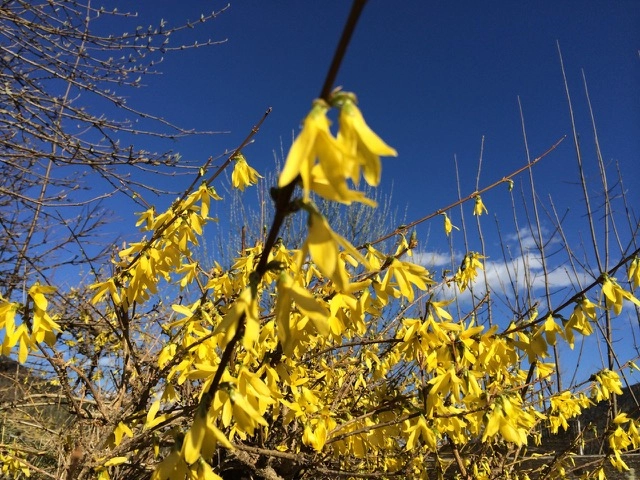 zobacz camping - zdjęcie 9